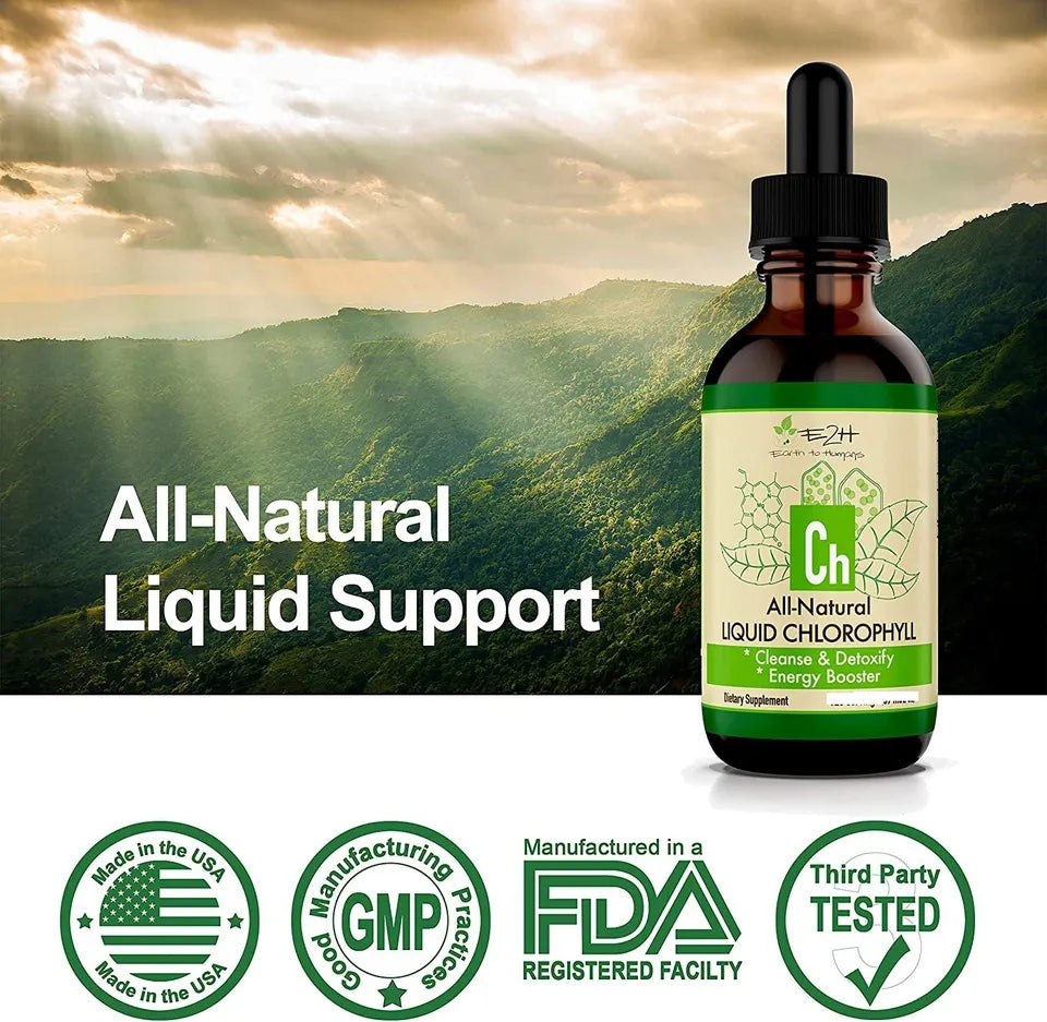 Chlorophylle Liquide – Fraîcheur Verte à Intégrer au Quotidien